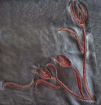 Leather Stock Photos