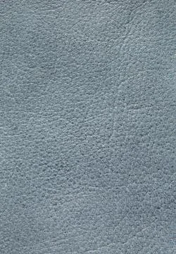 Leather Stock Photos