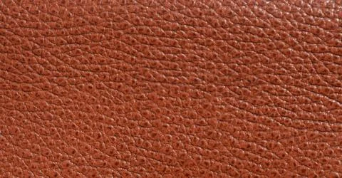 Leather Stock Photos