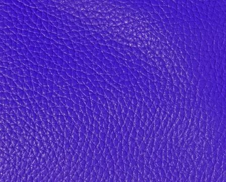 Leather Stock Photos