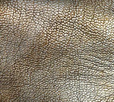 Leather Stock Photos