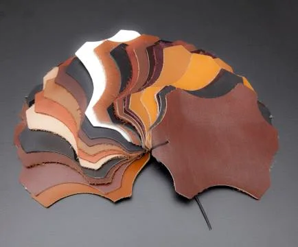 Leather Stock Photos