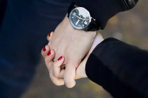 Leather Stock Photos