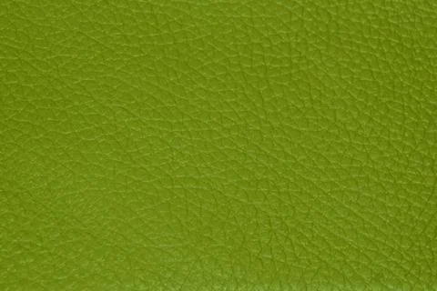 Leather Stock Photos