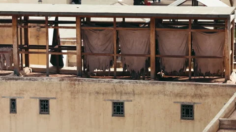 Leather Pieces Facing The Sun During The Production Process Stock Footage 314860118