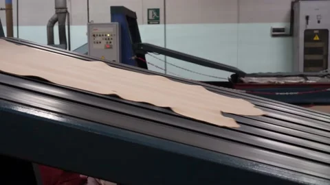 Leather production Stock Footage 233165821