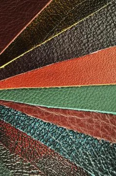 Leather samples Stock Photos