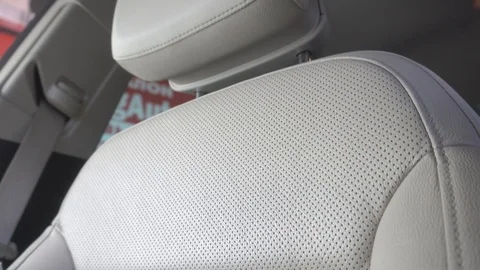Leather seats in the car Vidéo 106596030