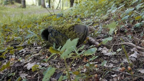 Leather shoe decomposing on the ground and polluting environment 動画素材 127410434