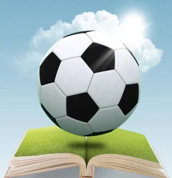 Leather soccer ball Stock Illustration