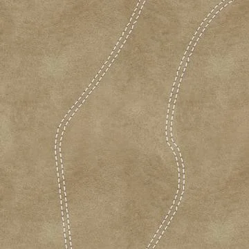 Leather with stitches of a white thread Stock Illustration