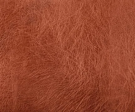 Leather surface full frame abstract brown leather surface Copyright: xZoon... Stock Photos