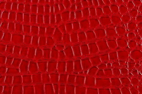 Leather texture and background. Stock Photos