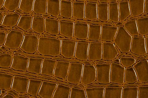Leather texture and background. Stock Photos