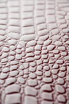 Leather texture and background. Stock Photos