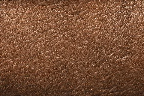 Leather texture background, clothing material Stock Photos