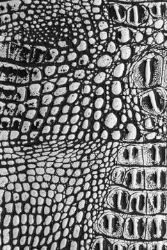 Leather texture background Stock Photos