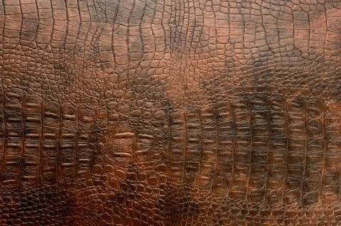 Leather texture background Stock Photos