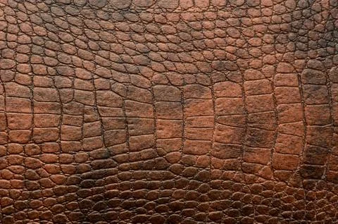 Leather texture background Stock Photos