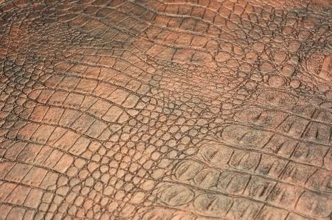 Leather texture background Stock Photos