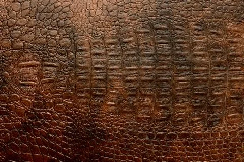 Leather texture background Stock Photos