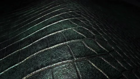 Leather texture close up. Leather clothing and fashion industry Видео 196201755