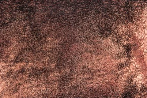 Leather texture closeup Stock Photos