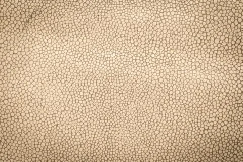 Leather texture closeup Stock Photos