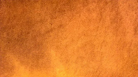 Leather texture Stock Footage 12341559