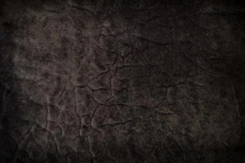 Leather texture Stock Photos