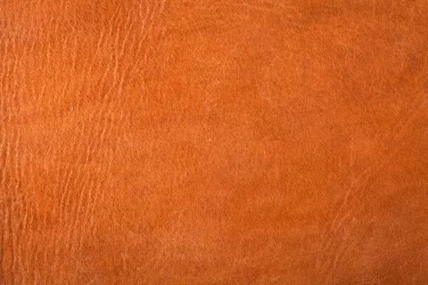 Leather texture Stock Photos