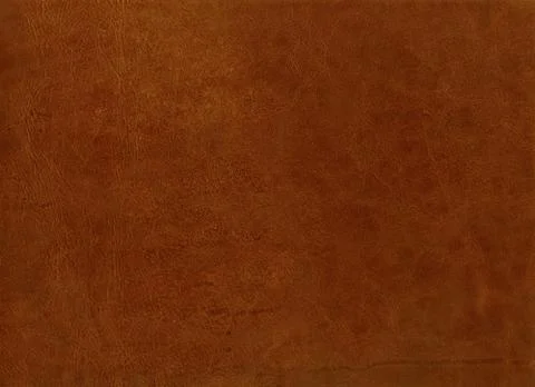 Leather texture 库存照片