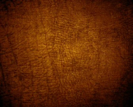 Leather texture Stock Photos