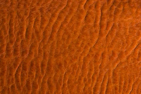 Leather texture Stock Photos