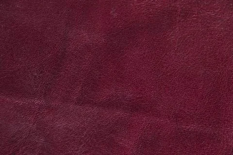 Leather texture Stock Photos