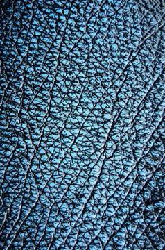 Leather texture Stock Photos