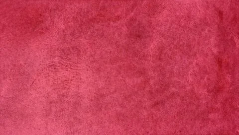 Leather texture Stock Photos