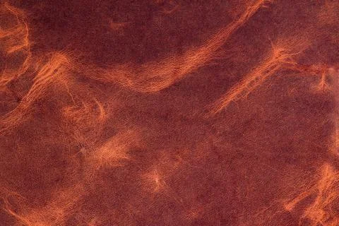 Leather texture Stock Photos