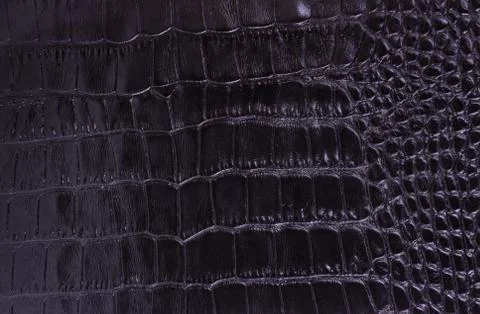 Leather texture Stock Photos