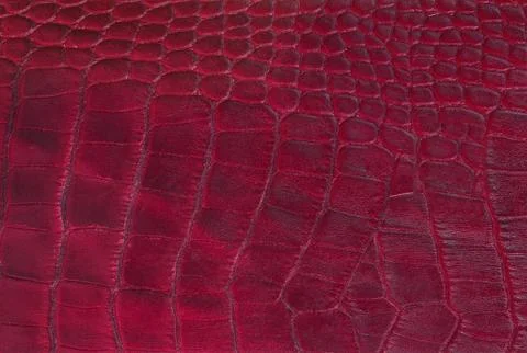Leather texture Foto stock