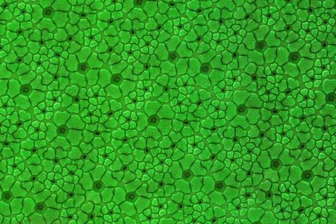 Leather texture Foto stock