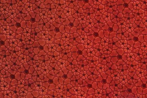 Leather texture Foto stock