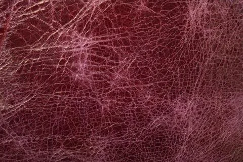 Leather texture Stock Photos