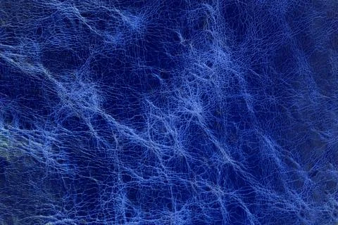 Leather texture Stock Photos