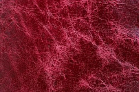 Leather texture Stock Photos