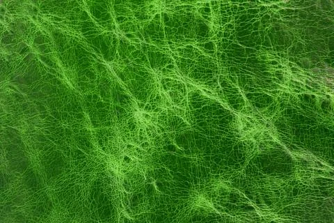 Leather texture Foto stock