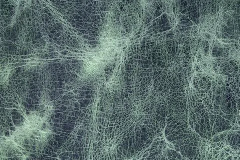 Leather texture Foto stock