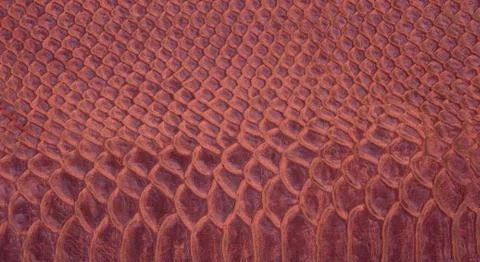 Leather texture Foto stock