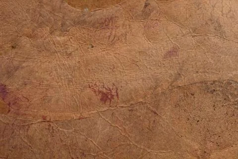 Leather texture Stock-Fotos