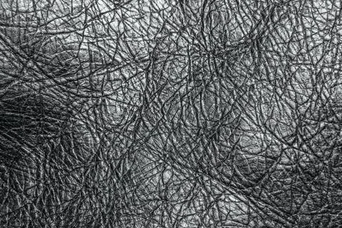 Leather texture Stock Photos